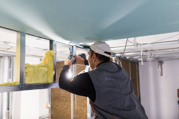 Best Home Insulation Services  in Telford, PA